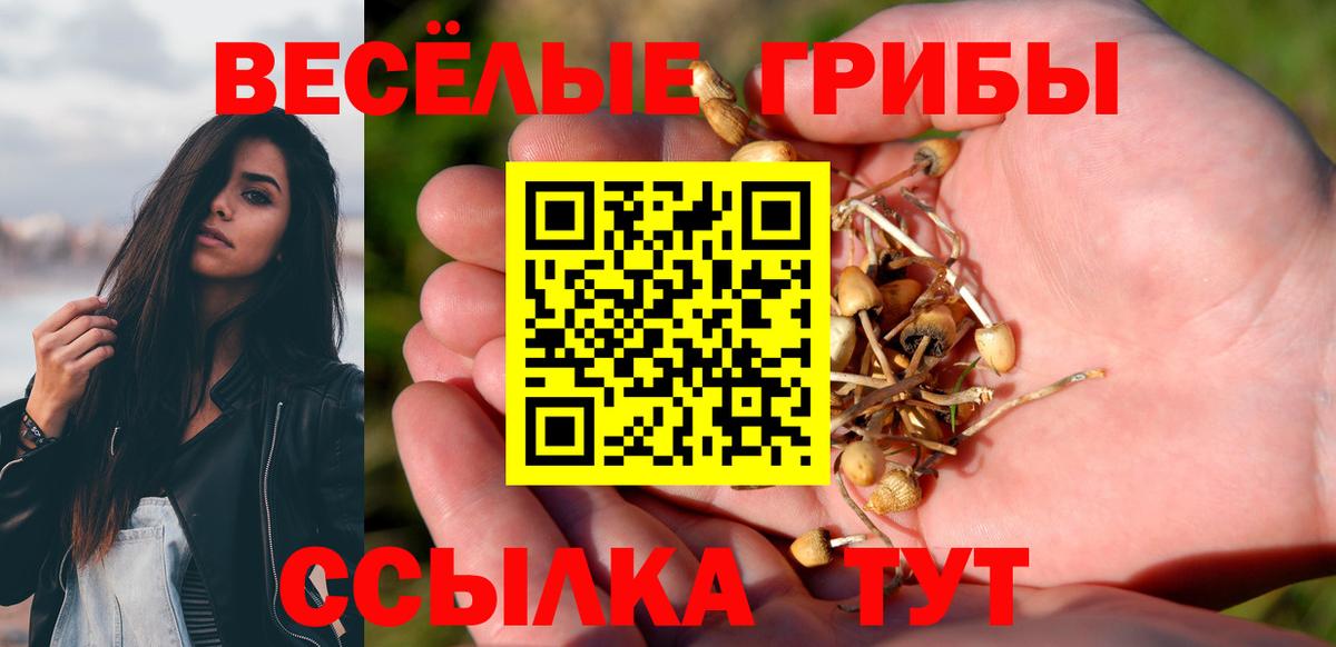 Псилоцибиновые грибы мухоморы Красногорск