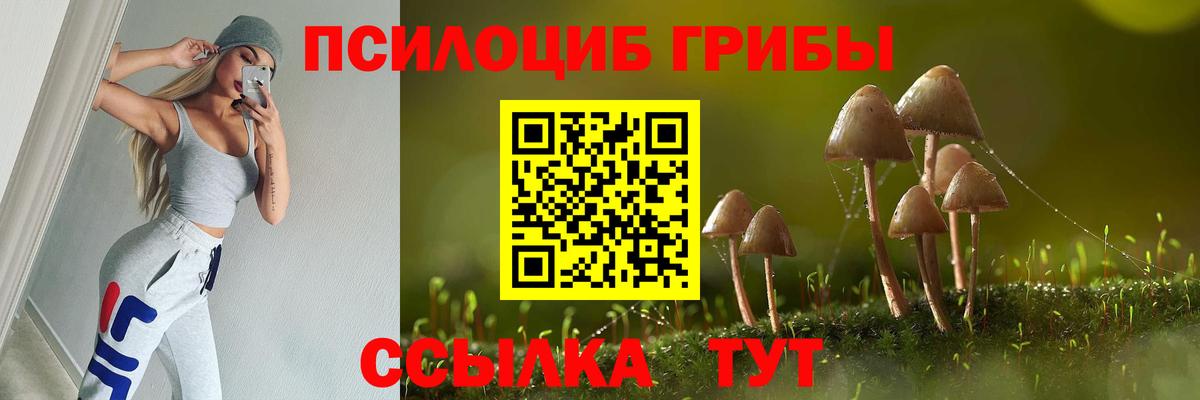 Красногорск  Псилоцибиновые грибы ЛСД  Вход с VPN  Псилоцибиновые грибы Psilocybine cubensis 